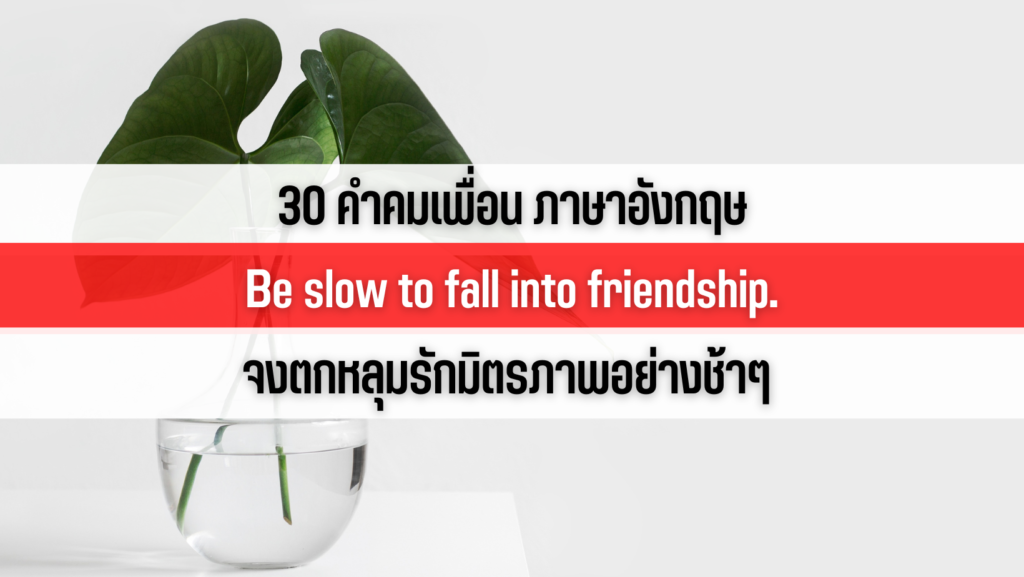 30 คำคมเพื่อน ภาษาอังกฤษ (Be Slow To Fall Into Friendship.จงตกหลุมรักมิตรภาพอย่างช้า  ๆ) – รีวิวสินค้าลาซาด้า ยี่ห้อไหนดีที่สุด